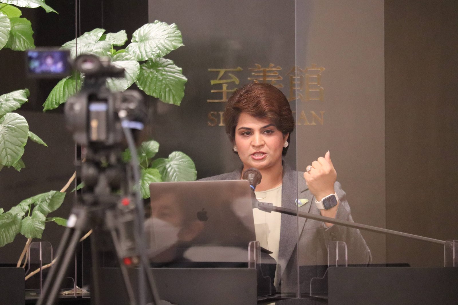 Humaira Syed presenting at a professional event